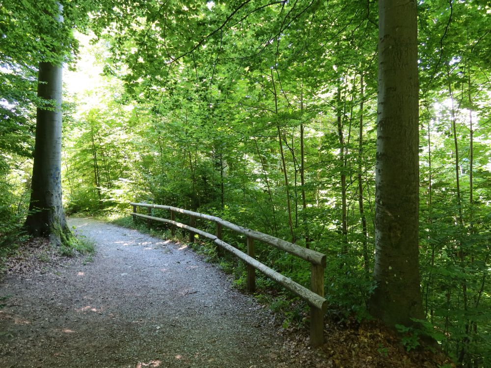 Wolfbachtobelweg