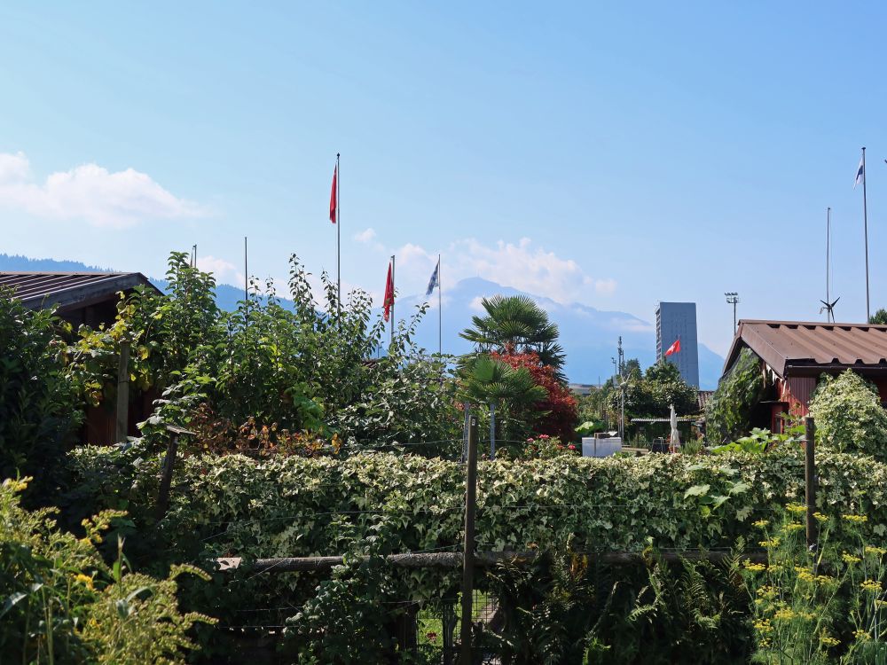 Schrebergärten und Rigi im Dunst