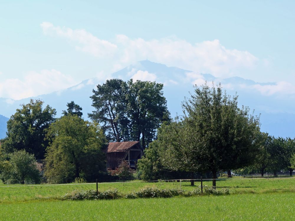 Rigi im Dunst