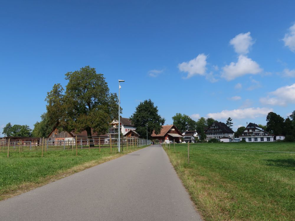 Schochenmüli