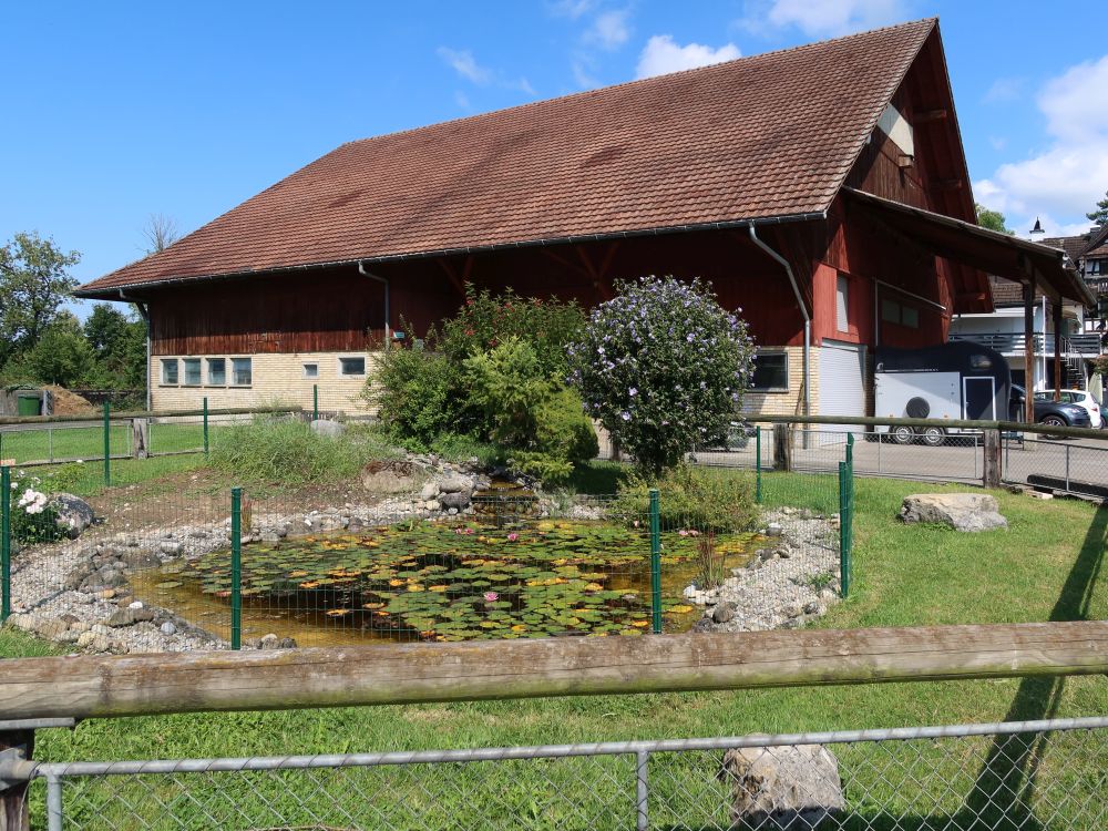 Scheine mit Wasserrosenteich