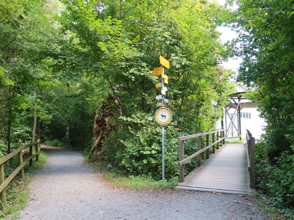 Seeweg bei der Alten Lorze