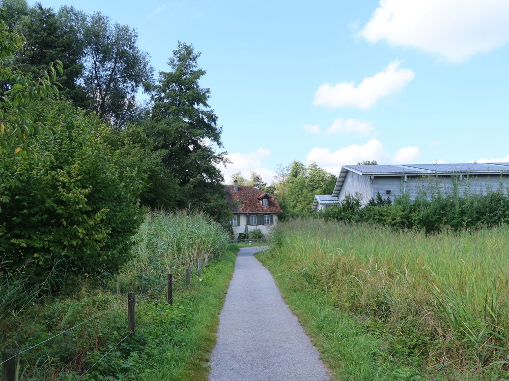 Seeweg