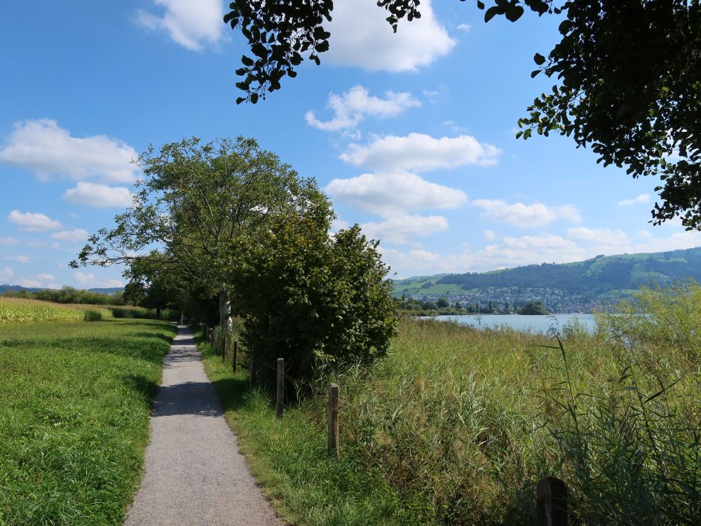 Seeweg