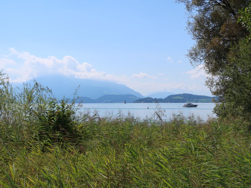 Zugersee und Rigi im Dunst