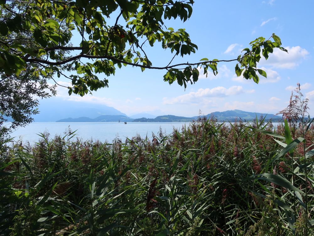 Zugersee