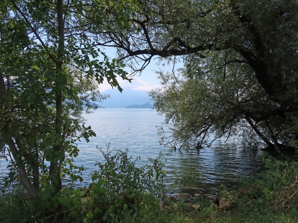 Zugersee