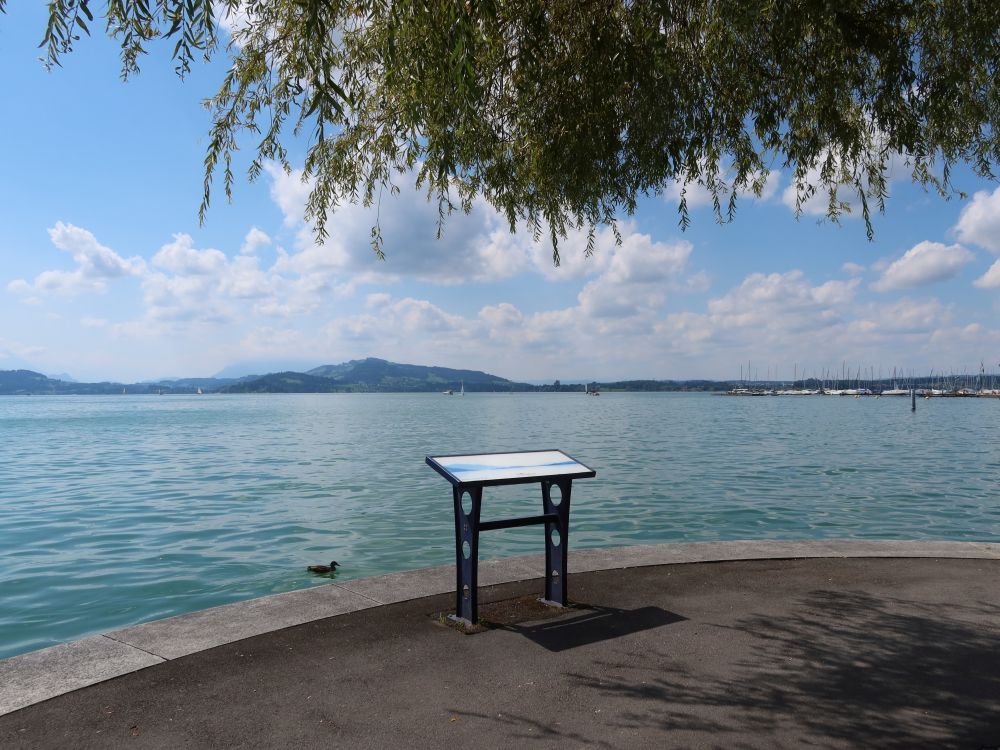 Panoramatafel am Alpenquai